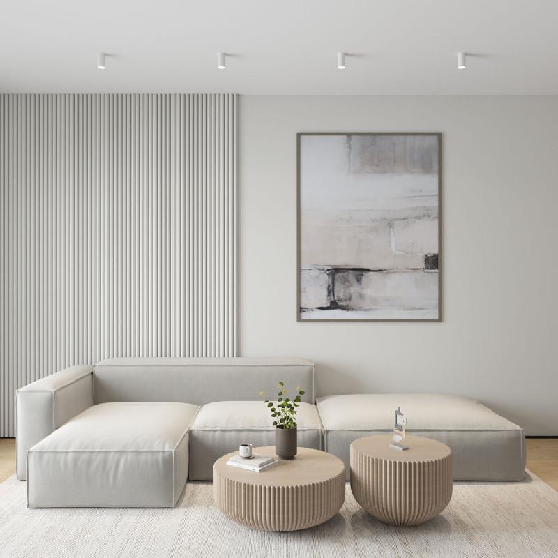  Светильник 50Вт GU10 IP20 накладной алюм. бел. DENKIRS 427055 фото в каталоге от BTSprom.by