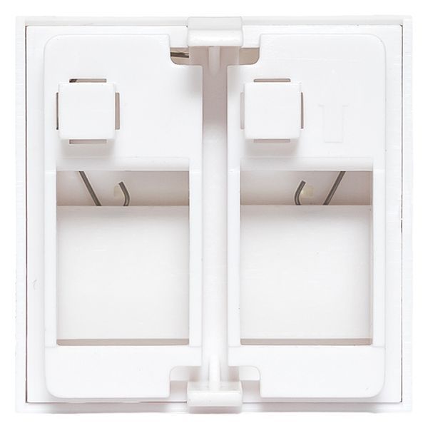  Вставка розеточная 45х45мм формат Mosaic на 2 модуля Keystone защ. шторки с маркерами бел. TERACOM PRO EKF TRP-INS-MOS-2M2P-WH фото в каталоге от BTSprom.by