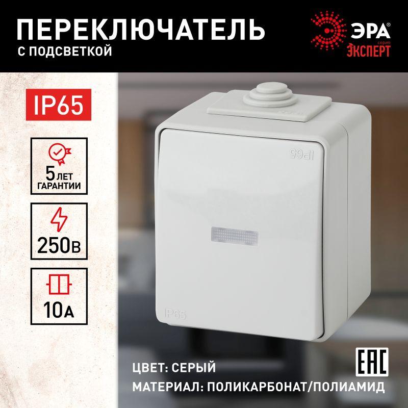 переключатель 1-кл. оп эра эксперт 10а ip65 11-1610-03 250в 10ax с подсветкой сер. эра б0035981 от BTSprom.by