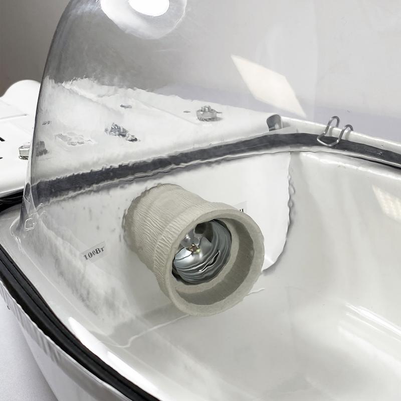  Светильник ЖКУ 06-100-010М "Сура" со стеклом (инд. упак.) Элетех 1030050126 фото в каталоге от BTSprom.by