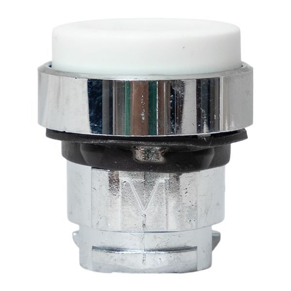  Механизм кнопки исполнительный XB4 IP65 выпирающая возвратный без фиксации без подсветки бел. EKF XB4BL-W-65 фото в каталоге от BTSprom.by