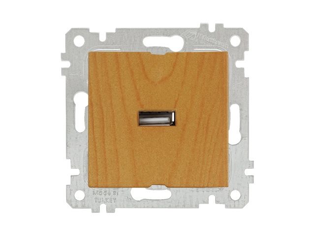 розетка 1-ая usb (скрытая, без рамки) дуб, rita, mutlusan (usb-зарядка, 5v-2.1a) 2200 448 0158 от BTSprom.by