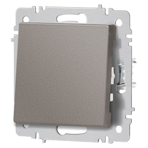  Кнопка Accent 6-109-09 10А-250В IP20 СУ титан Intro Б0063621 фото в каталоге от BTSprom.by