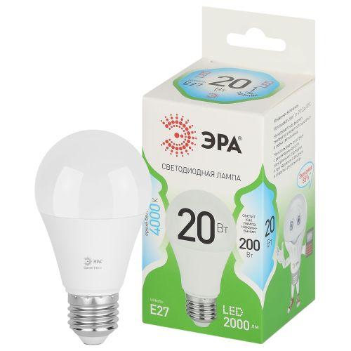 лампа светодиодная green line a60-20w-840-e27 gl 20вт груша 4000к яркий свет бел. e27 эра б0067116 от BTSprom.by