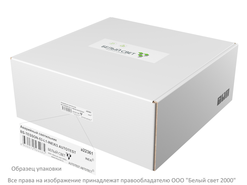  Светильник аварийный BS-TESSON-53-L1-INEXI3 Белый свет a22361 фото в каталоге от BTSprom.by