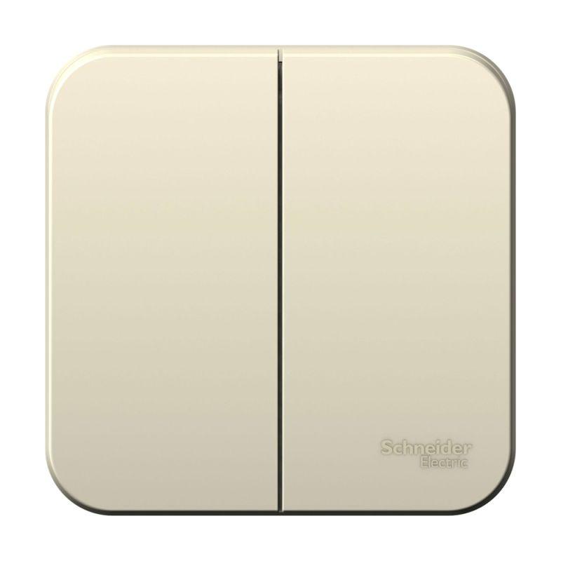 выключатель 2-кл. оп blanca 6а ip20 (сх. 5) 250в с изолир. пластиной молочн. se blnva065012 от BTSprom.by