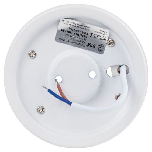  Светильник OL30 WH GX53 настен./потолочн. спот бел. Эра Б0056359 фото в каталоге от BTSprom.by