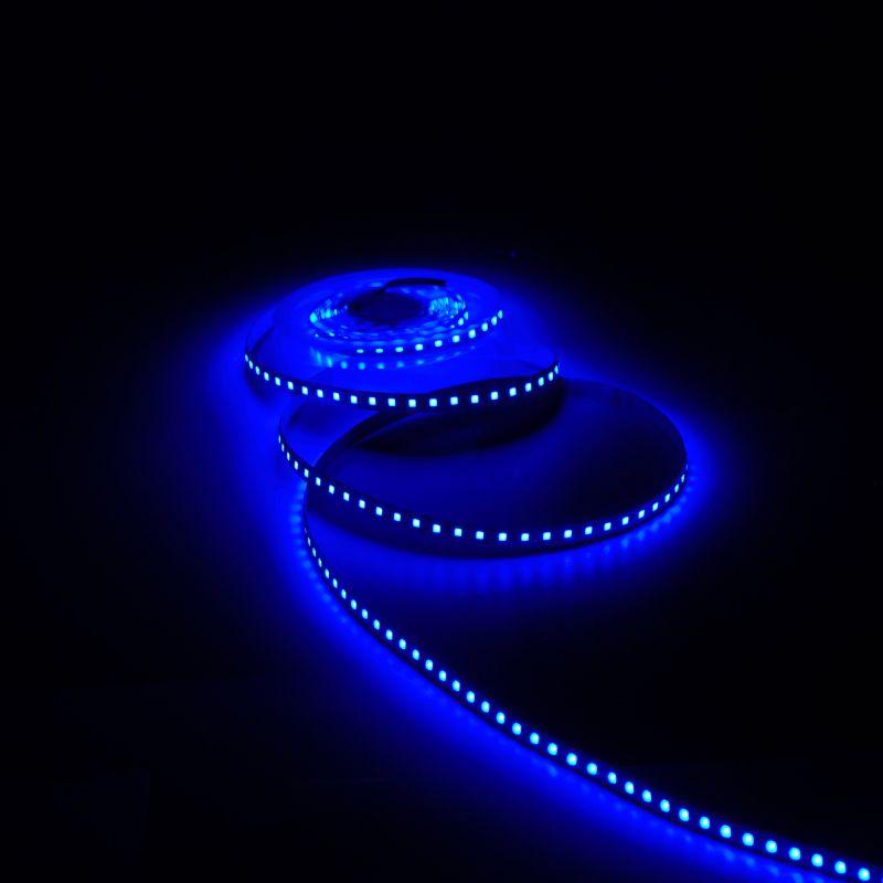  Лента светодиодная Basic 2835/120-SMD 9.6Вт/м син. IP20 624лм/м 12В 8мм (уп.3м) GAUSS BT067 фото в каталоге от BTSprom.by