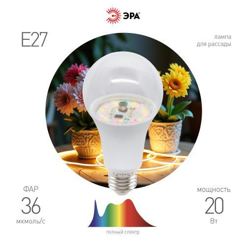 лампа светодиодная green line фито a65-20w-pfr-e27-gr 20вт e27 для растений полного спектра эра б0068577 от BTSprom.by