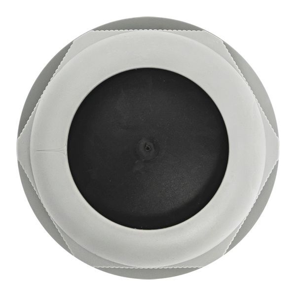  Сальник PG42 d32-38мм (d отверст. 53мм) IP54 (уп.1шт) PROxima EKF plc-pg-42-1-r фото в каталоге от BTSprom.by