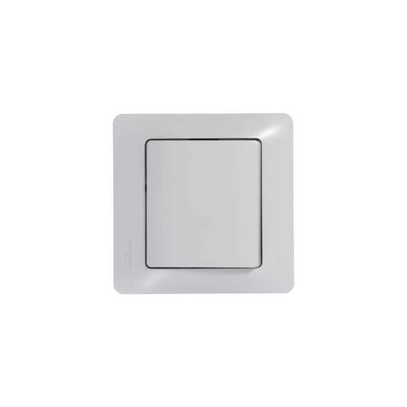  Кнопка нажимная 1-кл. СП Glossa 10А IP20 (сх. 1) 10AX механизм бел. SE GSL000115 фото в каталоге от BTSprom.by