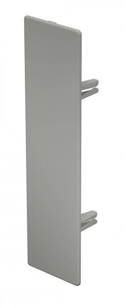 заглушка торцевая для кабель-канала 60х230мм пвх wdk he60230gr сер. obo 6024831 от BTSprom.by