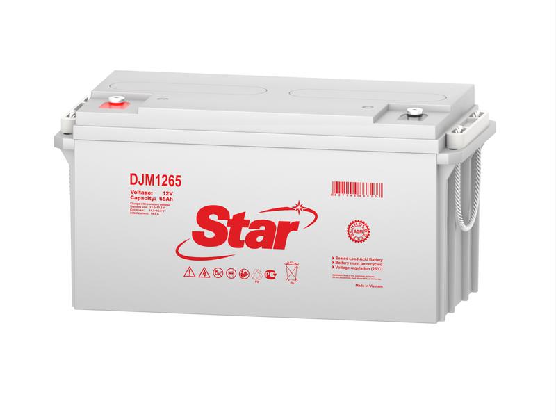 аккумулятор 12в 65а.ч star djm1265 от BTSprom.by