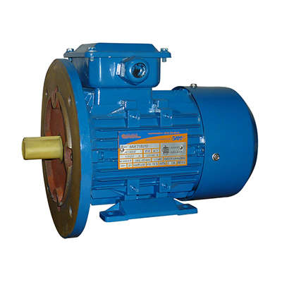 электродвигатель 5аи 71 в2 1.1/3000 im 2081 элком 01.01.213627 от BTSprom.by