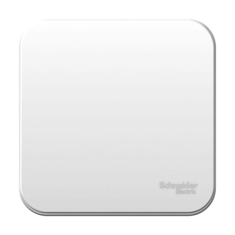 выключатель 1-кл. оп blanca 6а ip20 (сх. 1) 250в с изолир. пластиной бел. se blnva061011 от BTSprom.by