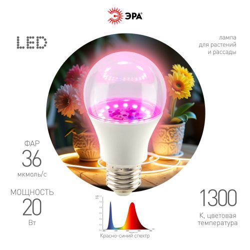 лампа светодиодная fito-20w-rb-e27 20вт грушевидная прозрачная 1300к красн./син. спектра e27 130-270в для растений эра б0069710 от BTSprom.by
