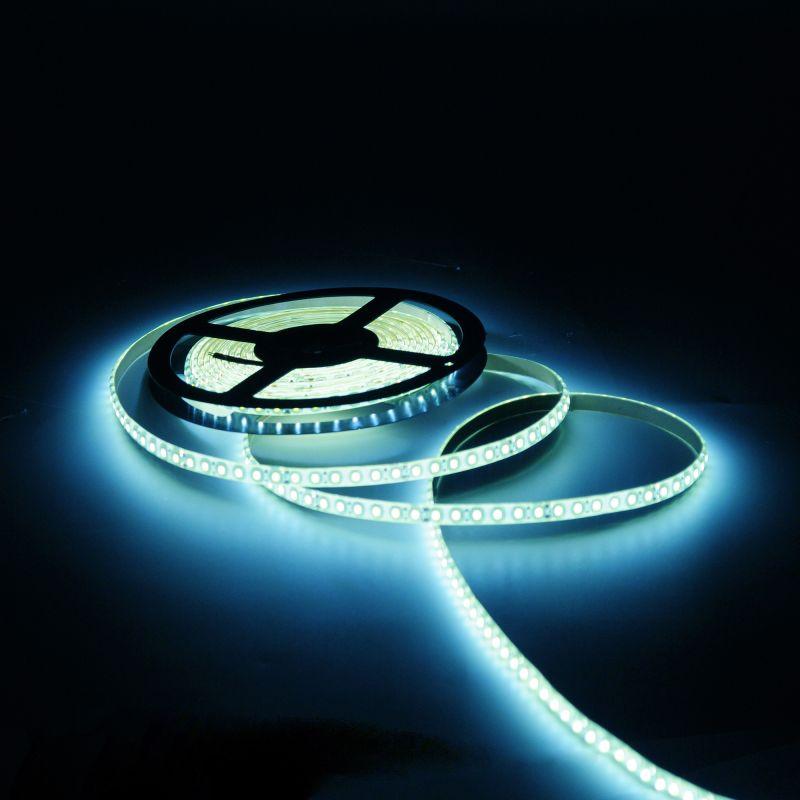  Лента светодиодная Black 2835/120-SMD 6.5Вт/м 5000К холод. бел. IP65 600лм/м 24В (блист.5м) GAUSS 311000265 фото в каталоге от BTSprom.by