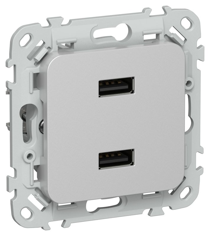 розетка usb aa сп flite рю-2-фла 2.1а механизм алюм. iek fi-u21-d31-k47 от BTSprom.by