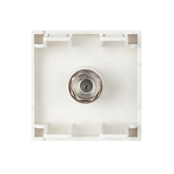  Розетка телевизионная TV 2мод. EKF E2MA00-027-10 фото в каталоге от BTSprom.by