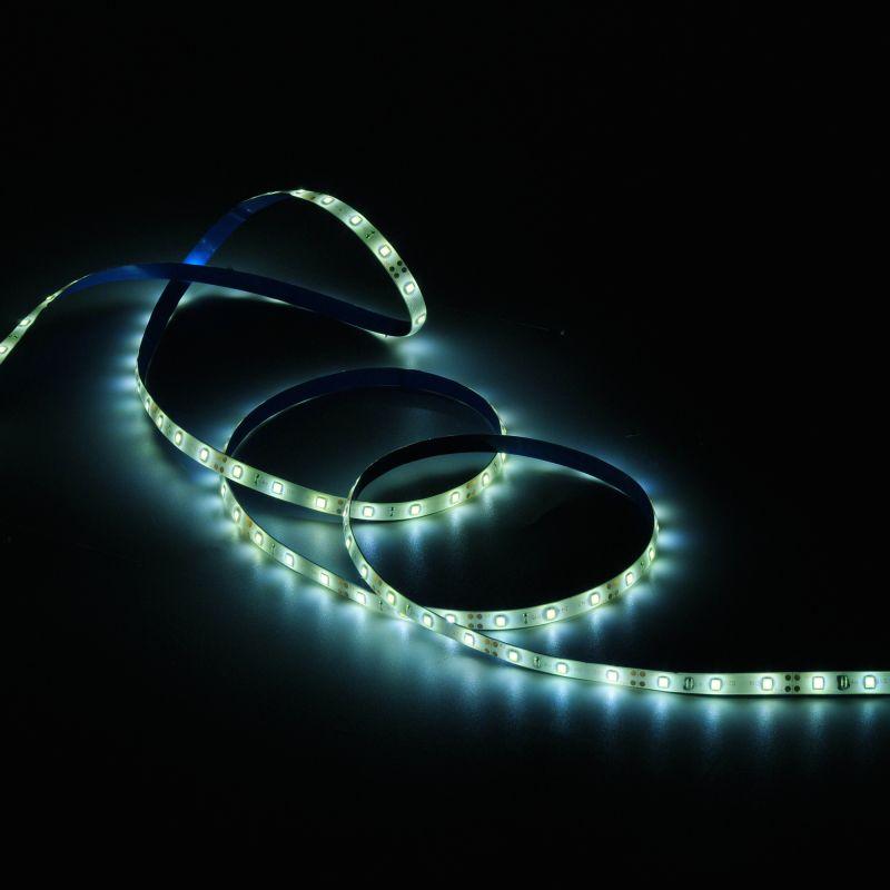  Лента светодиодная Elementary 2835/60-SMD 4.8Вт/м 6500К холод. бел. IP66 150лм/м 12В 8мм (уп.5м) GAUSS 356000305 фото в каталоге от BTSprom.by