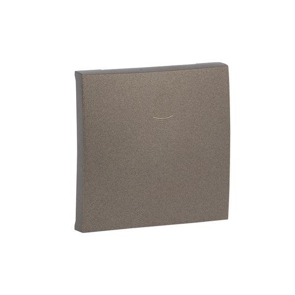  Панель лицевая Валенсия для кнопки звонка 10А графит PROxima EKF ESV10-L-026-60 фото в каталоге от BTSprom.by