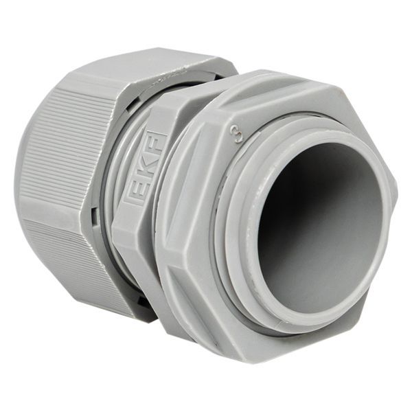  Сальник PG16 d10-14мм (d отверст. 21мм) IP54 (уп.2шт) PROxima EKF plc-pg-16-2-r фото в каталоге от BTSprom.by