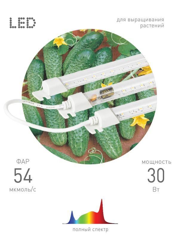 светильник модульный для растений fito-3х10w-line-ra90 30вт полного спектра эра б0049315 от BTSprom.by светильник модульный для растений fito-3х10w-line-ra90 30вт полного спектра эра б0049315 от BTSprom.by