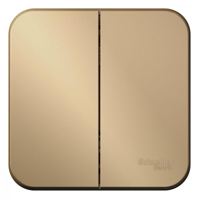 выключатель 2-кл. оп blanca 10а ip20 (сх. 5) 250в с изолир. пластиной титан se blnva105014 от BTSprom.by