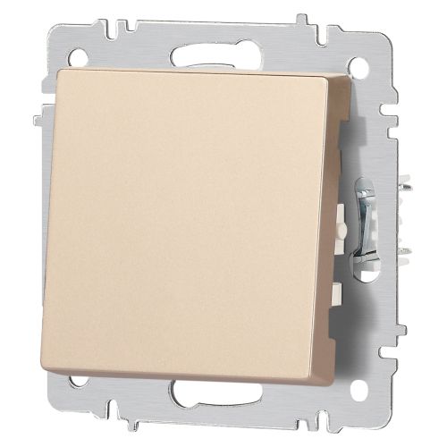  Кнопка Accent 6-109-04 10А-250В IP20 СУ шампань Intro Б0063610 фото в каталоге от BTSprom.by