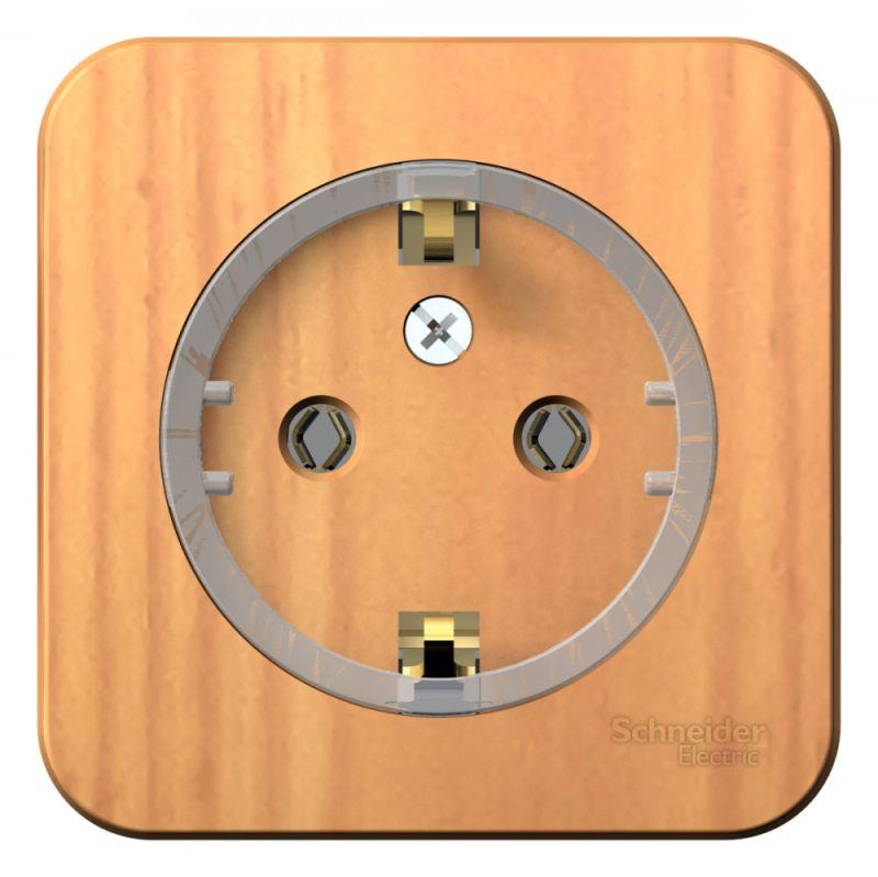 розетка 1-м оп blanca 16а ip20 250в с заземл. без защ. шторок с изолир. пластиной (компакт) ясень se blnra110115 от BTSprom.by