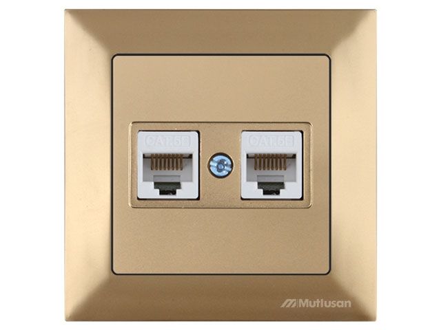 розетка компьютерная 2xrj45 (cat5e, скрытая) золото, daria, mutlusan ((2xrj 45) 8-pin, соединения типа 568a или 568b) 2120 138 0180 от BTSprom.by