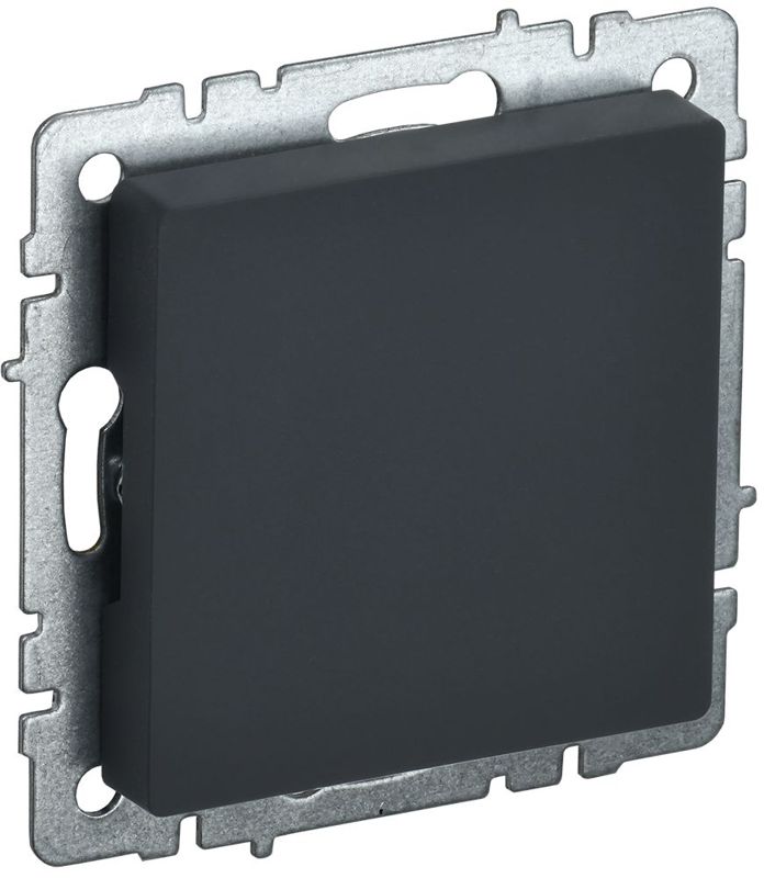 заглушка c суппортом brite мз10-брг механизм графит iek br-pl10-k53 от BTSprom.by