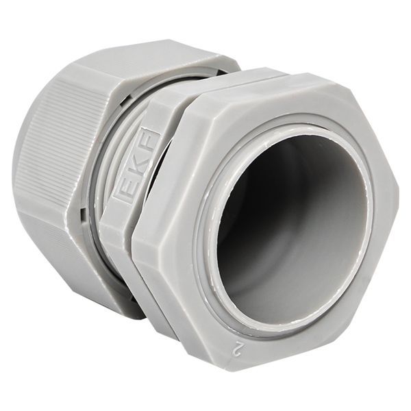  Сальник PG25 d16-21мм (d отверст. 31мм) IP54 (уп.2шт) PROxima EKF plc-pg-25-2-r фото в каталоге от BTSprom.by