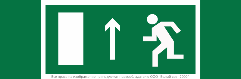 знак безопасности npu-3311.e12 "направление к эвакуационному выходу прямо (лев.)" белый свет a32675 от BTSprom.by