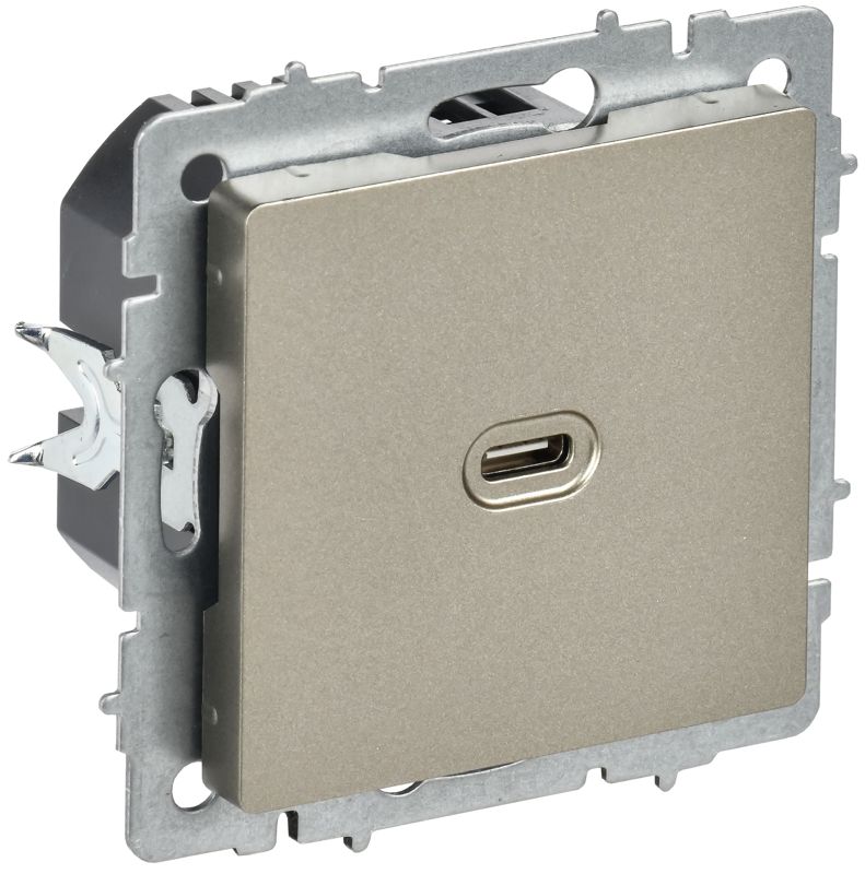 розетка сп brite рю12-1-брш usb c 65вт высокоскор. заряд. шампань iek br-u13-065-k37 от BTSprom.by