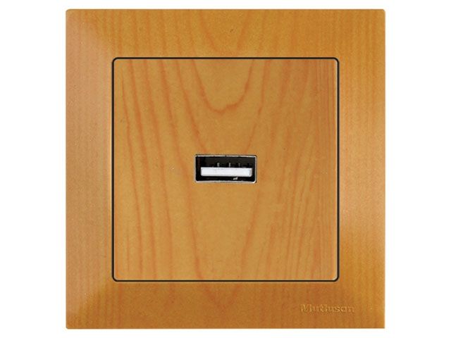 розетка 1-ая usb (скрытая) дуб, daria, mutlusan 2120 448 0158 от BTSprom.by
