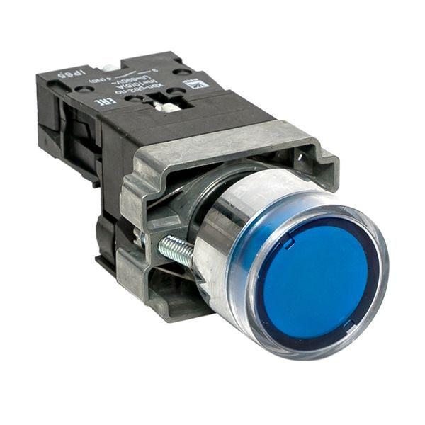 кнопка ba61 с подсветкой 230в син. no ip65 proxima ekf xb2-bw61-230-65 от BTSprom.by кнопка ba61 с подсветкой 230в син. no ip65 proxima ekf xb2-bw61-230-65 от BTSprom.by