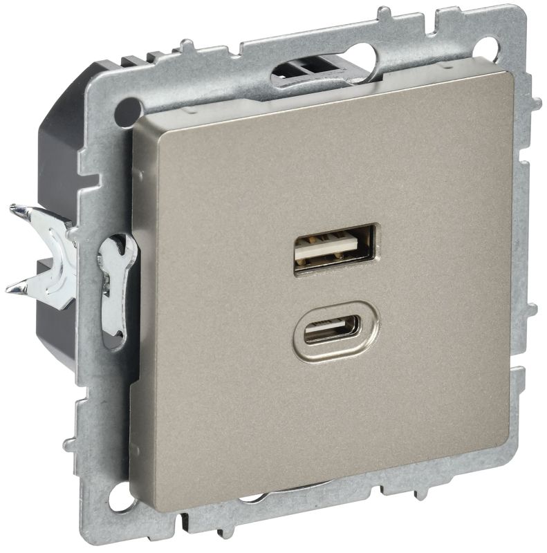 розетка сп brite рю11-2-брш usb a+c 45вт высокоскор. заряд. шампань iek br-u22-045-k37 от BTSprom.by