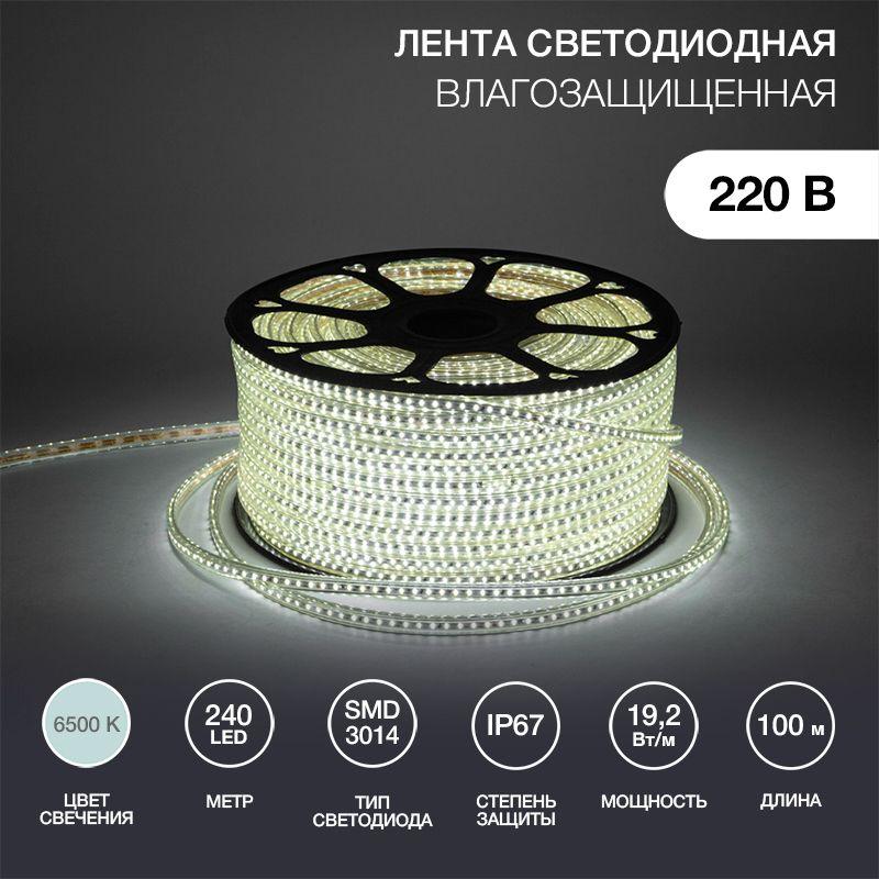 лента светодиодная smd3014 6.5x15мм 240led/м 220в ip67 бел. (уп.100м) neon-night 142-803 от BTSprom.by