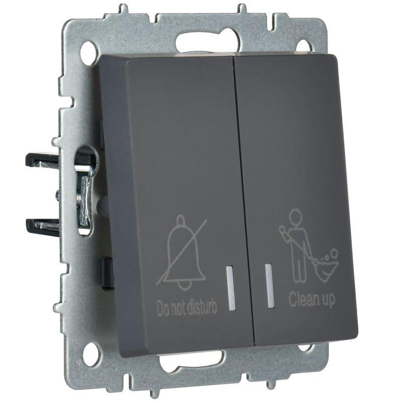  Выключатель 2-кл. BRITE 10А ВС10-2-9-БрГ для отелей с индик. механизм графит IEK BR-V20-2-10-K53 фото в каталоге от BTSprom.by