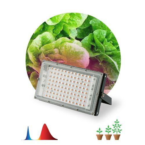 прожектор светодиодный fito-80w-rb-led-y 80вт для растений красн./син. спектр ip65 эра б0053082 от BTSprom.by