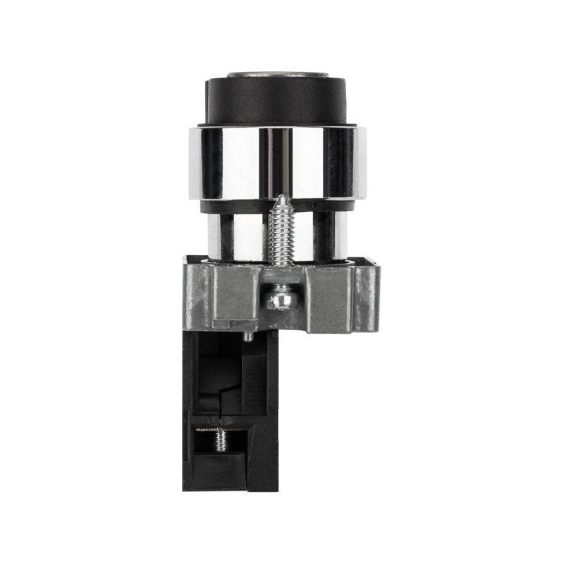  Переключатель BD21 2P с замком NO Rexant 36-5552 фото в каталоге от BTSprom.by