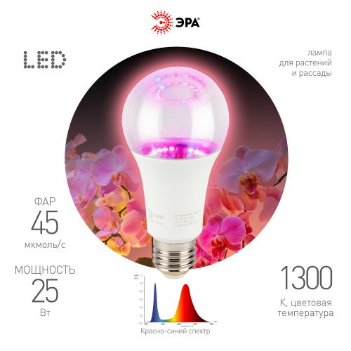 лампа светодиодная fito-25w-rb-e27 25вт грушевидная прозрачная 1300к красн./син. спектра e27 130-270в для растений эра б0069712 от BTSprom.by