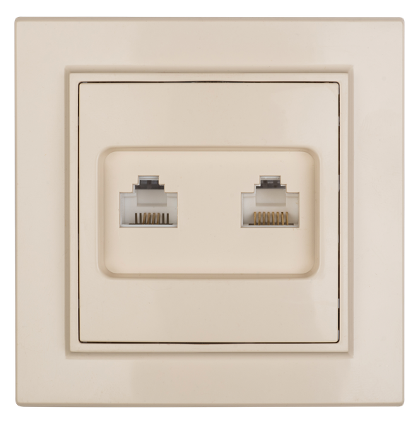  Розетка компьютерная 2-м СП Минск RJ45 беж. EKF ERK02-035-20 фото в каталоге от BTSprom.by