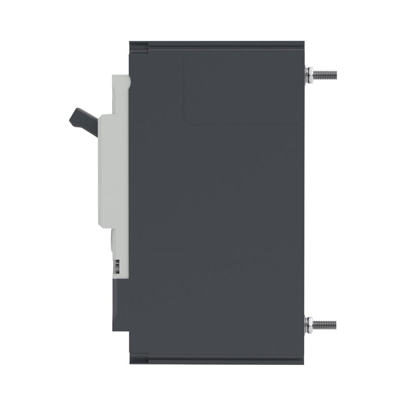  Выключатель автоматический 2P 160А 70кА pro MNX160L при AC240V расцепитель TMD YON MNX160L2PTMD0160 фото в каталоге от BTSprom.by