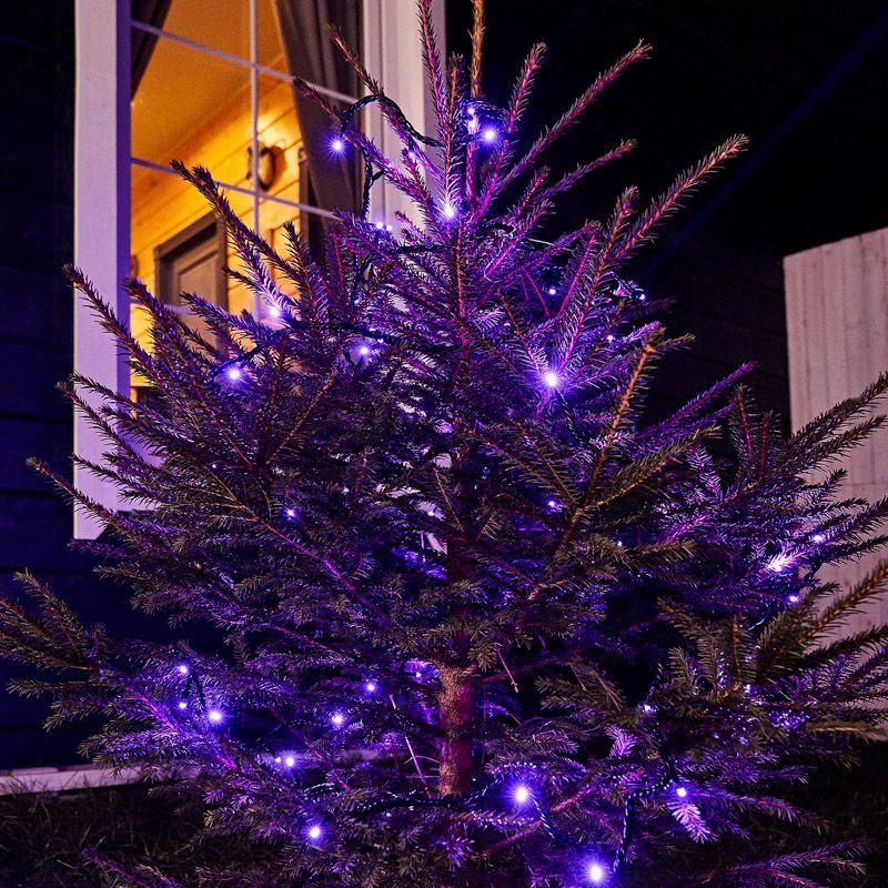  Гирлянда светодиодная "Твинкл Лайт" 10м 100LED фиолет. 6Вт 220-240В IP65 с контроллером 8 режимов провод ПВХ черн. Neon-Night 303-154 фото в каталоге от BTSprom.by