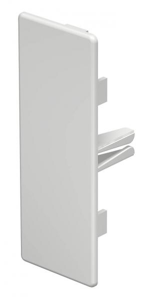 заглушка торцевая для кабель-канала 40х110мм пвх wdk he40110rw бел. obo 6193242 от BTSprom.by