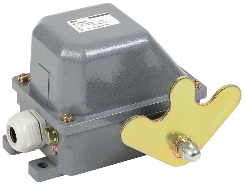 выключатель концевой ку-704 у1 w- образный рычаг 10а ip44 2 эл. цепи iek kv-1-704-1 от BTSprom.by