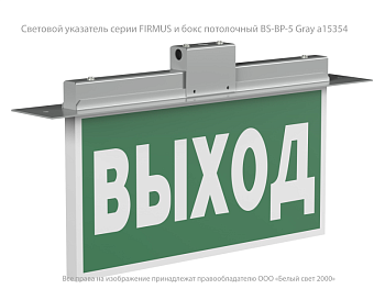 оповещатель пожарный световой bs-firmus-10-f1-12 gray белый свет a24771 от BTSprom.by